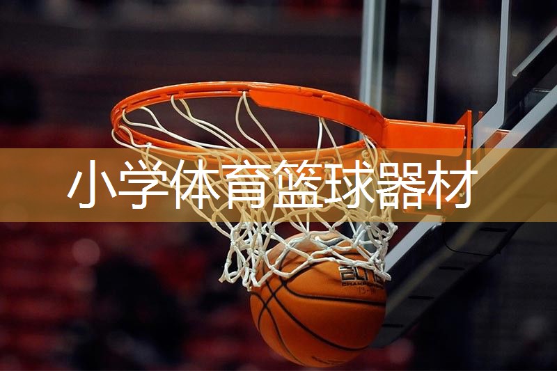 小学体育篮球器材