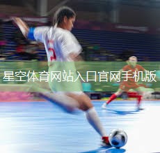 笼式足球场围网：标准尺寸与分类指南